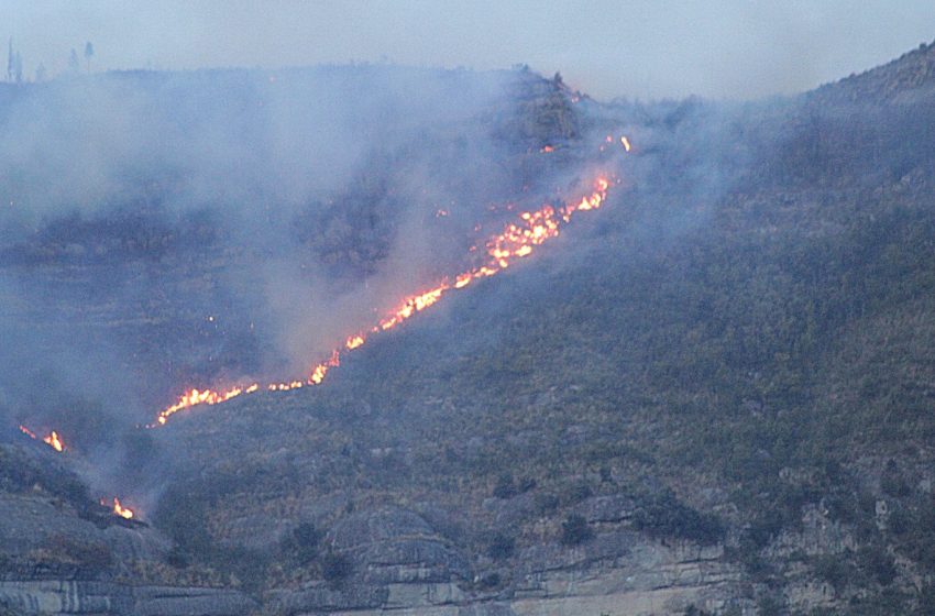 incendio forcella